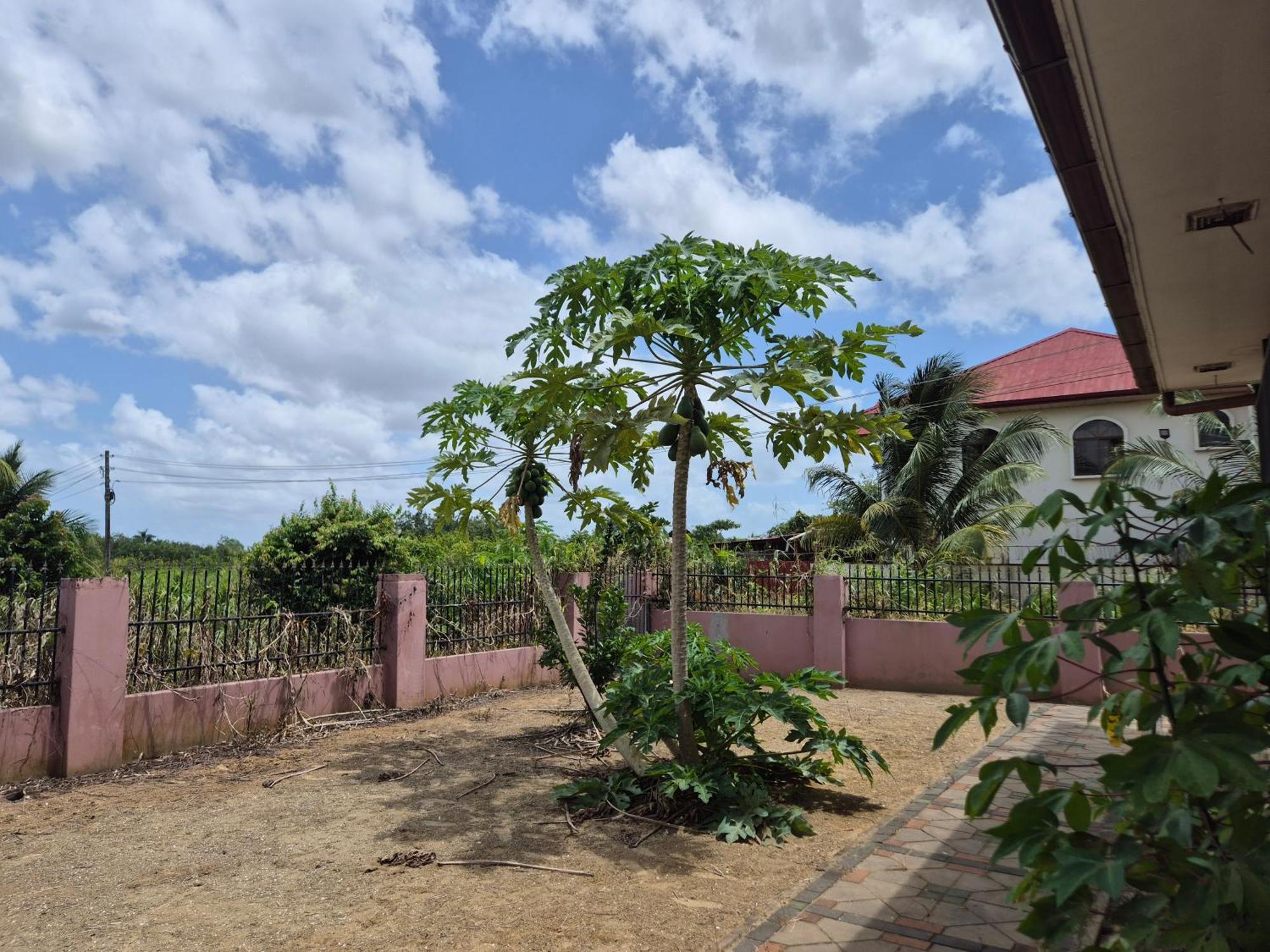 Chander'S Villa Paramaribo Dış mekan fotoğraf