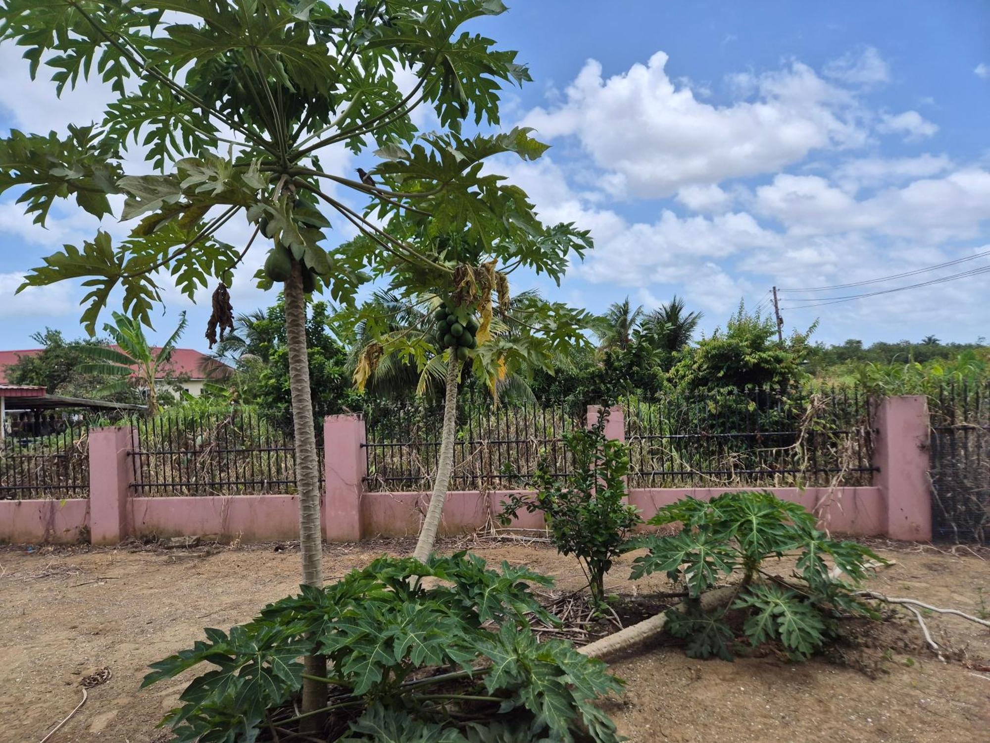 Chander'S Villa Paramaribo Dış mekan fotoğraf