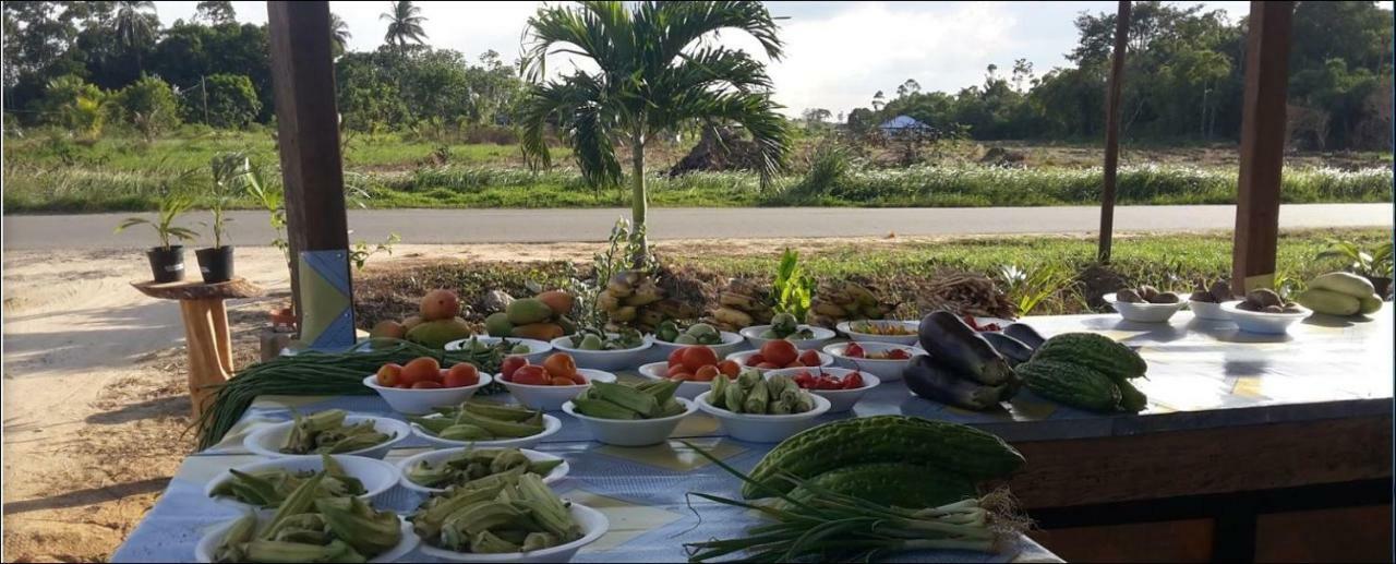 Chander'S Villa Paramaribo Dış mekan fotoğraf